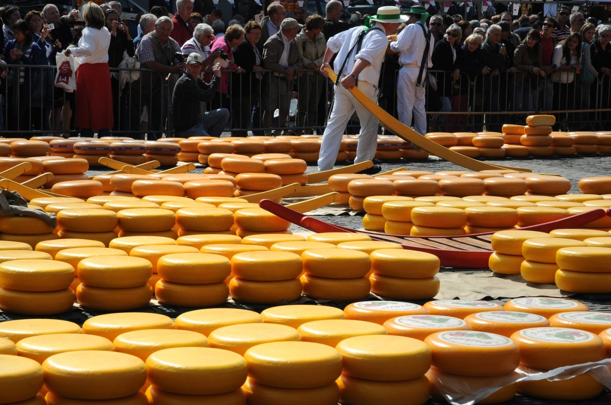 Sýrový trh v Alkmaaru